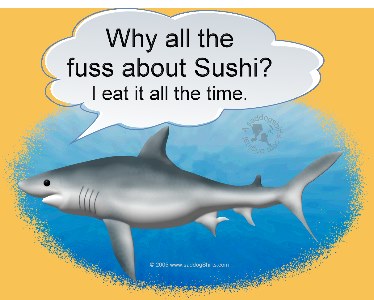 ../Images/sushi shark L.jpg